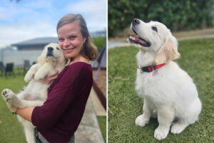 Smiling woman in red top holding labrador puppy in her arms
