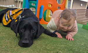 black labrador laying head on grass next to child also laying on grass