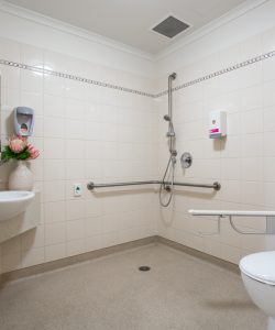accessible bathroom for elderly